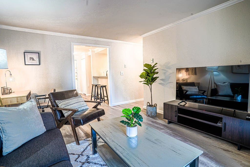 Spacious living and relaxing area