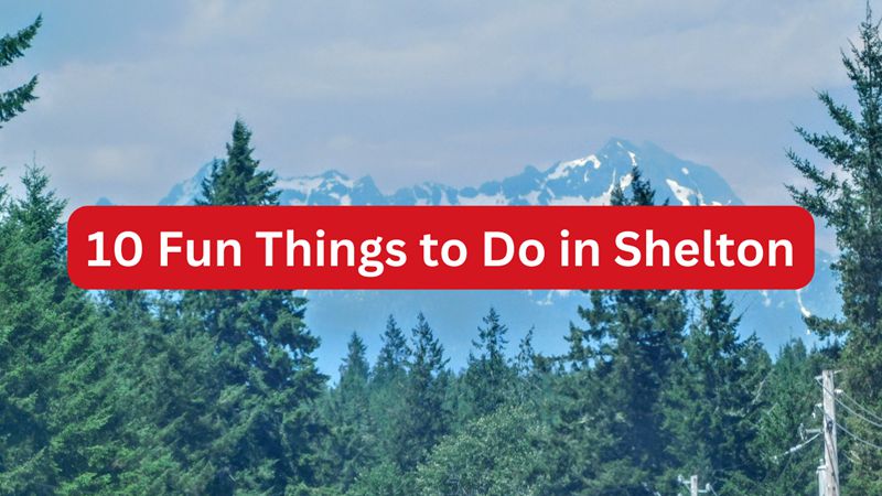 10 Fun Things to do in Shelton Washington